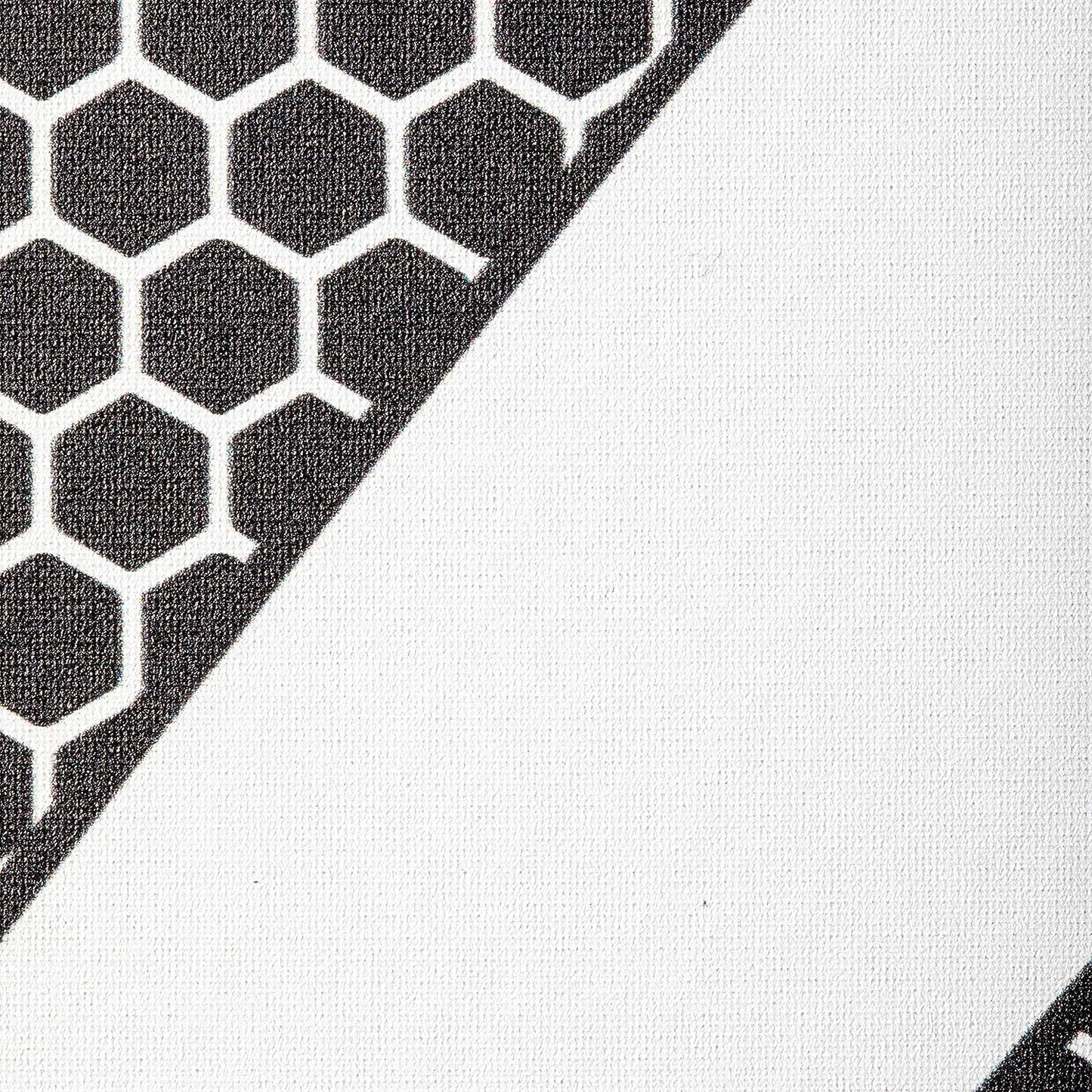 Graphite Z5 Pickleball Paddle (Graphite Carbon Fiber Face with Rough Texture Surface, Cushion Comfort Grip and Nomex Honeycomb Core for Touch, Control, and Power),White